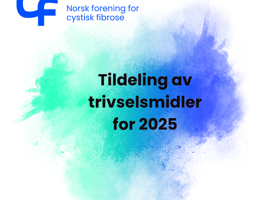 Tildeling av trivselsmidler for 2025